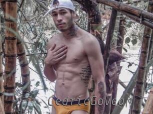 CedricGovea