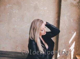 Chloeblooming