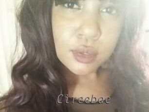 Circebae