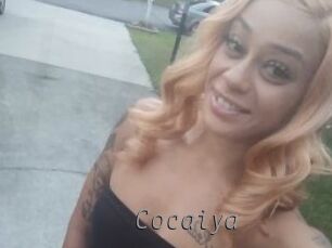 Cocaiya