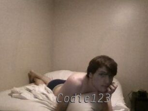 Codie123
