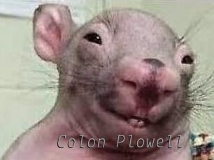 Colon_Plowell