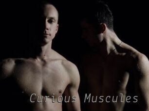 Curious_Muscules