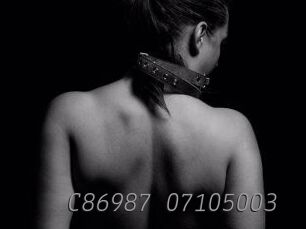 C86987-07105003