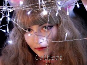 Calicat