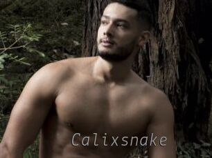 Calixsnake