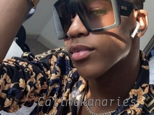 callmekanaries Livestrip Cams