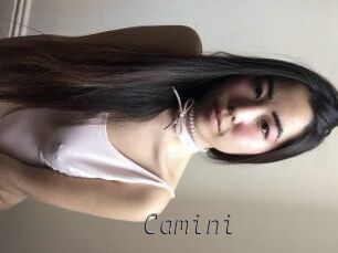 Camini