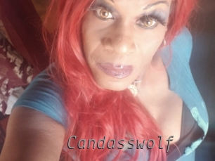 candasswolf Livestrip Cams