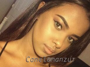 Canelamanzur