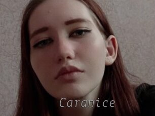 Caranice