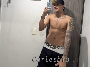 carlesbig Livestrip Cams