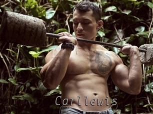 carllewis Livestrip Cams