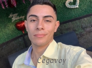 Cegavoy