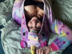 ceiba Livestrip Cams