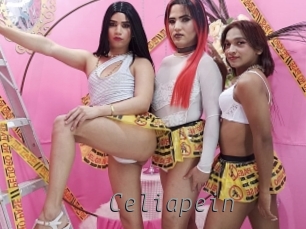 celiapein Livestrip Cams