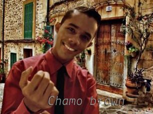 Chamo_brown