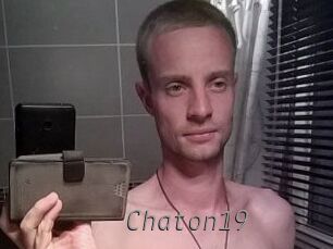 Chaton19
