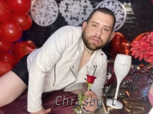 chrisburt Livestrip Cams