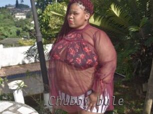 Chubby_bule