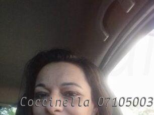 Coccinella-07105003