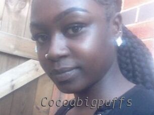 Cocoabigpuffs