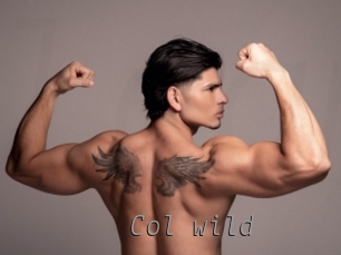 col_wild Livestrip Cams