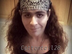Cottontail28