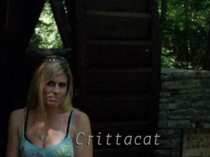 Crittacat