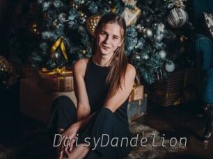 DaisyDandelion