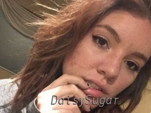Daisy_Sugar