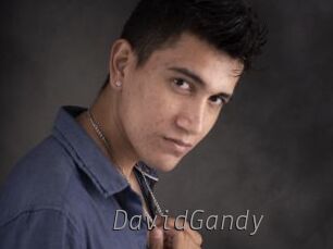 DavidGandy Livestrip Cams