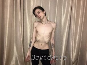 DavidHero