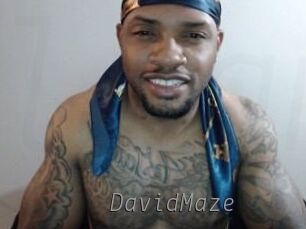 David_Maze