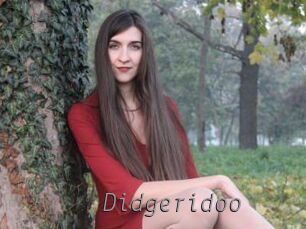 Didgeridoo Livestrip Cams