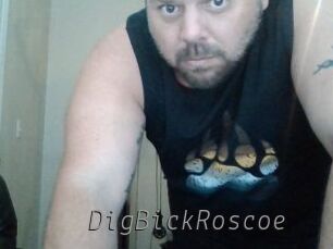 DigBickRoscoe
