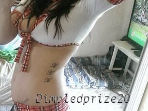 Dimpledprize20