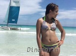 Dinamarin