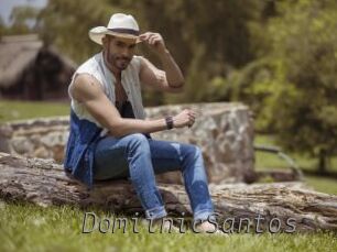 DomiinicSantos Livestrip Cams
