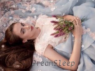 DreamSleep