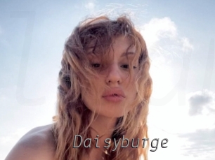 Daisyburge