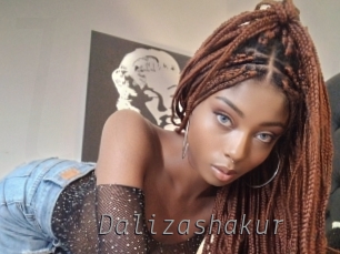 dalizashakur Livestrip Cams