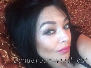 Dangerous_wild_cat