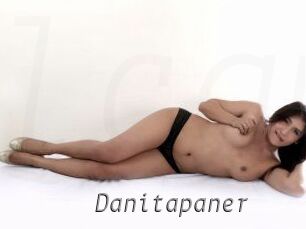 Danitapaner
