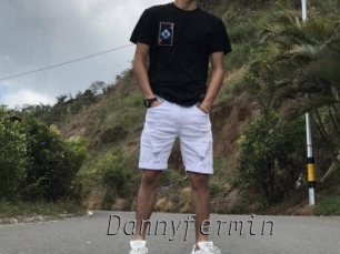 Dannyfermin
