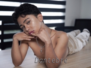 dantebre Livestrip Cams