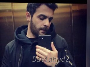 Davidbudz