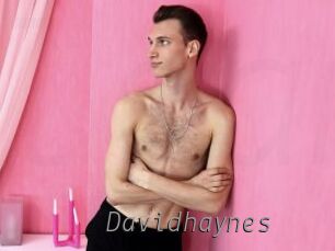 Davidhaynes