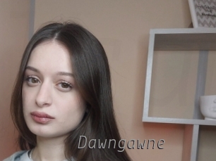 dawngawne Livestrip Cams