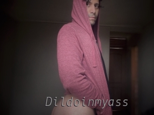 Dildoinmyass